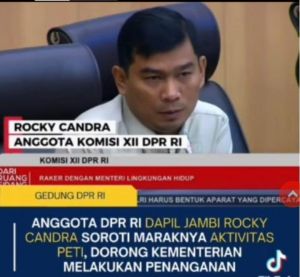 DPR RI Desak Tangkap Penadah Emas PETI, Bukan Hanya Penambang