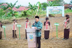 Libatkan 500 Pramuka, Maulana Genjot Target Tanam Padi Gogo di Kota Jambi