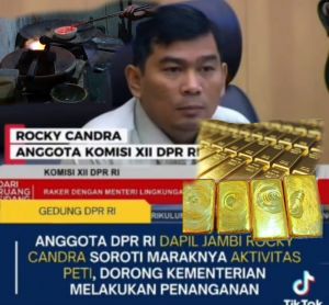 DPR RI Desak Tangkap Penadah PETI, Bukan Hanya Penambang
