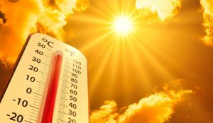 Suhu Jambi Tembus 36°C, BMKG Peringatkan Cuaca Ekstrem Mengintai