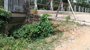 Bupati Merangin Minta Bukti Surat Usulan Jalan Rusak, Siap Perintahkan PUPR Cek Lokasi