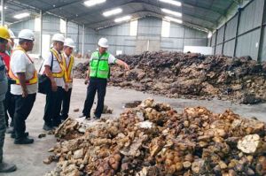 Ekonomi Jambi Tumbuh Stabil, Namun Ketergantungan Fiskal Jadi Sorotan