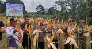 Desa Suka Jaya Jadi Lokasi Panen Raya Jagung Nasional, Warga Sambut Program Ketahanan Pangan