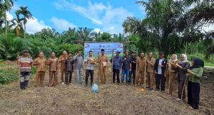 Gotong Royong Tanam Jagung, Desa Dataran Pinang Perkuat Ketahanan Pangan