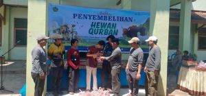 Mahasiswa Internasional UIN STS Jambi Ikut Rasakan Hangatnya Idul Adha