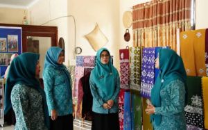 Hesnidar Haris Supervisi Program PKK di Tebo, Dorong Pemberdayaan Keluarga
