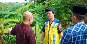 Bupati Dedy Putra Tinjau Lokasi Calon Mal dan Kondisi Jalan di Kota Muara Bungo