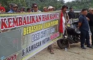 Petani Plasma Kepung PT RAU, Tuntut Lahan Keluar dari HGU Demi Replanting Sawit
