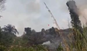 3 Hektare Lahan PT TAL dan Warga di Tebo Terbakar, BPBD Kerahkan Water Bombing