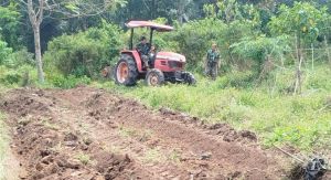 Bangun Kemandirian Desa, TMMD Ke-129 Mulai Garap Lahan Produktif Seluas 1 Hektare