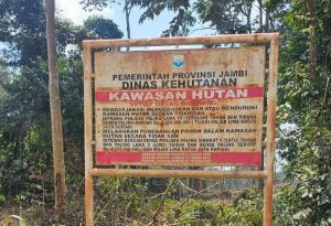 Diduga Terjadi Perambahan Hutan di Kawasan Konservasi PT WKS Distrik 8 BatangHari