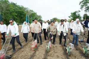 SAH Ingatkan Petani Jambi Siapkan Cadangan Air Hadapi Musim Kemarau