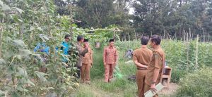 BUMDes Sumber Rezeki Sukses Hadapi Cuaca Ekstrem