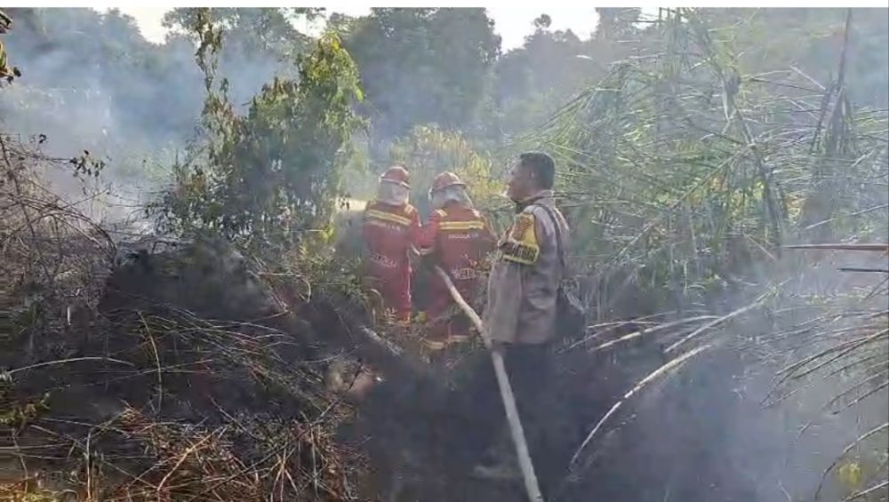 Manggala Agni Padamkan Karhutla 2,5 Hektare di Muara Sekalo Tebo