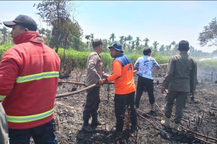 Karhutla Kembali Mengintai Tanjabbar, Tim Gabungan Bergerak Cepat di Kuala Indah