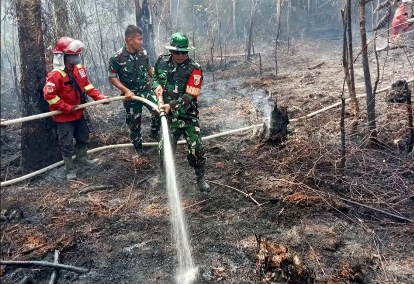 Damkar Kodim 0416/Bute dan Manggala Agni Berjibaku Jinakkan Karhutla di Sungai Bulu