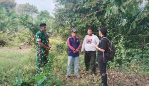 Sumur Bor Jadi Harapan Petani Teluk Rendah Pasar Hadapi Ancaman Kekeringan