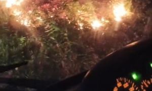 Karhutla Tebo Makin Menggila, Empat Lokasi Terbakar dalam Tiga Hari