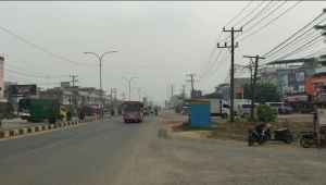 Karhutla Mulai Picu Kabut Asap di Bungo, BPBD Keluarkan Imbauan