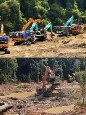 Ratusan Excavator Diduga Keruk Emas Ilegal di Lubuk Beringin Siau, Warga Desak Kapolda Jambi Turun