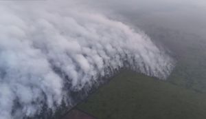 Empat Titik Api Terpantau, 576 Ribu Liter Air Dikerahkan Padamkan Karhutla Jambi