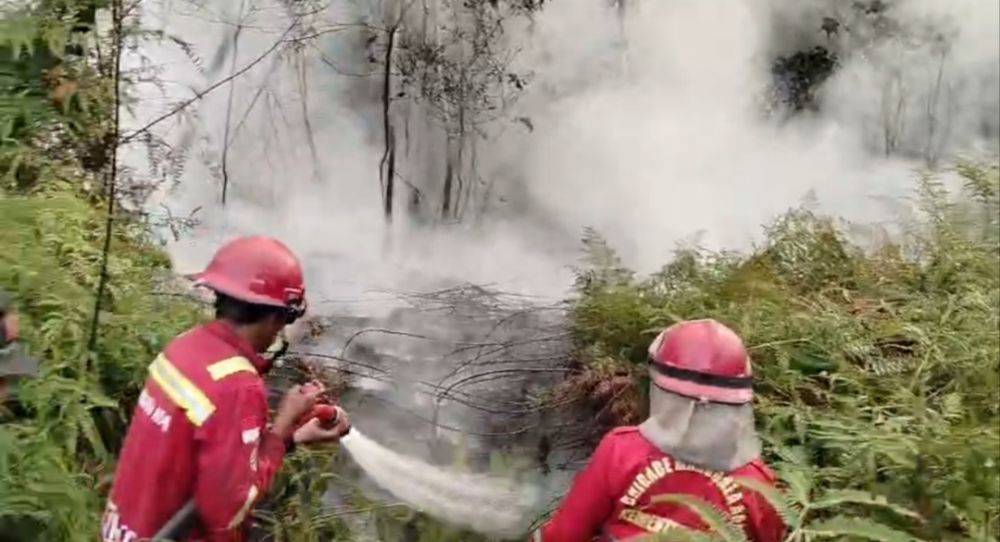Karhutla HP Patah Tumbuh Tebo Dipadamkan, BPBD Ajukan Water Bombing