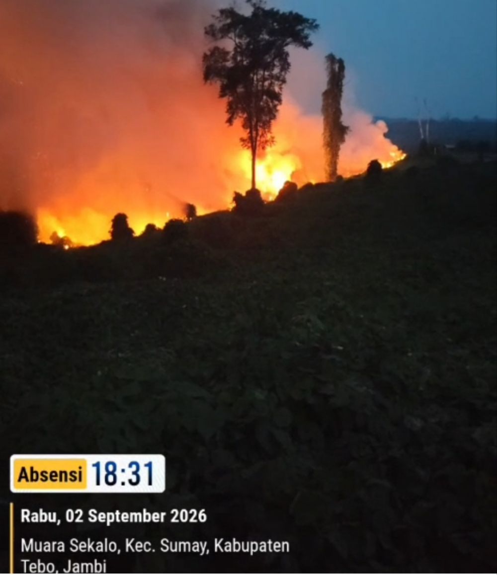 Karhutla di Sumay Belum Ganggu Pergerakan Gajah