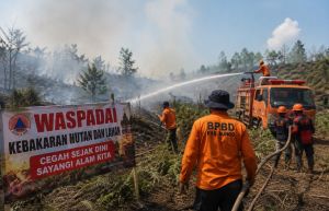 BPBD Bungo Tingkatkan Kesiapsiagaan Hadapi Karhutla hingga Akhir November 2026