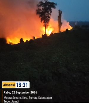 Karhutla di Sumay Belum Ganggu Pergerakan Gajah