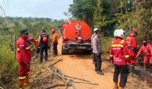 Satgas Karhutla Bungo Cek Lahan Terbakar 2 Hektare, Tipiter Turut Dilibatkan