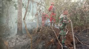 Kebakaran Lahan di Kilometer 14 Tebo, Warga Khawatir Api Menjalar ke Kebun Sawit