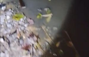 Dugaan Limbah PT BMA ke Sungai Batang Senamat, DLH Bungo Hanya Lakukan Pemeriksaan Kasatmata