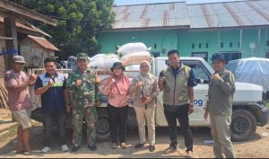 Gabah Petani Desa Kemantan Terserap Bulog, Babinsa Dampingi Proses Panen hingga Penimbangan