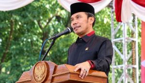 Edi Desak Korban Kebakaran di Jambi Dibantu Rumah Khusus, Ini Syaratnya