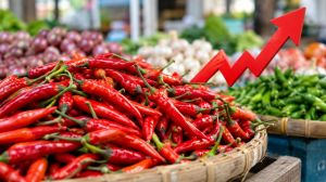 Harga Cabai Jadi Sorotan, Lonjakan IPH Merangin Tekan Daya Beli