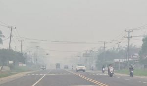 Kabut Asap Pekat Kepung Tebo, ISPU Capai 305 dan Sekolah Masih Belajar Daring