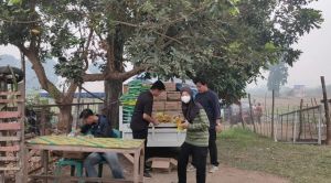 Pasar Murah di Buluran Kenali: Menjaga Akses Pangan di Tengah Agrowisata Kampung Pangan