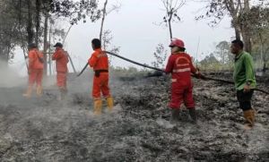 Cegah Karhutla Meluas, Pemkab Batang Hari Kerahkan 6 Alat Berat