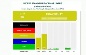 ISPU Tebo di angka 185, Warga Diminta Waspadai Dampak Kabut Asap