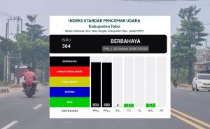 ISPU Tebo Tembus 384, Kabut Asap Kembali Pekat dan Berbahaya