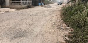 Jalan Bungo-Kuamang Kuning Diselimuti Debu, Warga Menanti Realisasi Perbaikan Bulan Depan