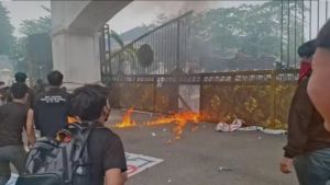 Asari Syafii Soroti Aksi Anarko, Saat Gubernur dan Aparat Jibaku Padamkan Karhutla