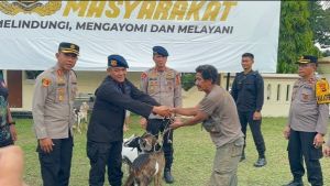 Temenggung SAD Serahkan Senjata Api Rakitan ke Polisi Usai Terima Bantuan Kambing dari Kapolda Jambi